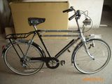 Old Bicycle