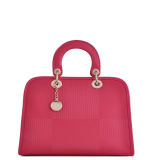 Tote Fashion Ladies Handbag (MD25613)