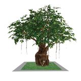 China Manufacturers Artificial Ficus Bonsai Tree for Indoor Home Decoration
