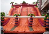 Inflatable Huge PVC Slide for Water Park