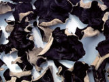 Dehydrated Black Fungus