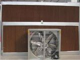 Electric Ventilation Exhaust Fan for Poultry Farm Greenhouse