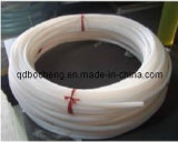 Extruded PTFE Pipe
