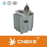 Distribution Transformer 10kv S13