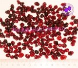 Dried Sugar-Infused Lingonberry