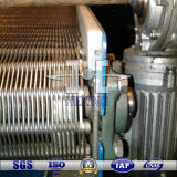 Ss304/316L Conveyor Chain Wire Ring Belts