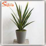 High Imitation Artificial Potted Bonsai Yucca Plant with Ifr