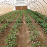 High Quality Agricultutal Drip Irrigation Pipe