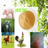 100% Natural Yeast Protein Feed