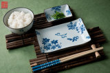 Ceramic Sushi Set for 1 Person (2BPS80)