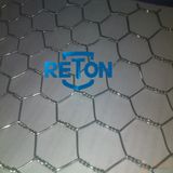 Hot Sale Hexagonal Wire Netting