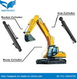 Hydraulic Cylinder