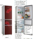Newest Pattern 219L Three Door Big Volume Refrigerator