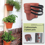 3 Plant Pots