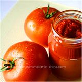 Cold Break China Tomato Paste