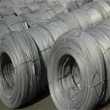 Standard GB/T3428-2002 Galvanized Steel Wire Galvanized Wire for Building Cable