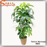 Hand Feeling Home Decoration Green Artificial Tree Bonsai Plant