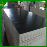 WBP Glue 15mm Construction Plywood
