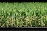 Landscape Grass
