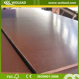 12mm Dynea Brown Film Faced Plywood (w15118)