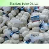 Natural Fresh Garlic with Good Quality in China