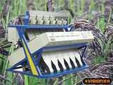 Automatic Thailand Fragrant Rice Color Grading Machinery