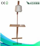 High Quality Modern Natural Wood Floor Lamp Lighting with Lamp Shade (LBMD-JM)