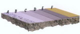 Surface Patterned Epoxy Flooring Coatings