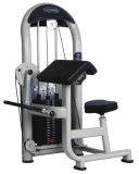 Commercial Biceps Curl Gym Equipment/Fitness Machine