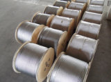 Steel Wire Rope (galvanized)