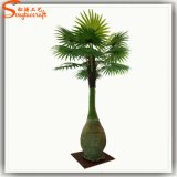 Hotel Decoration Artificial Bottle Palm Made of Fiberglass