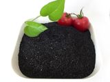Seaweed Fertilizer Soluble