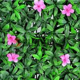 Artificial Small Plastic Garden Fence