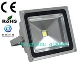 LED Flood Light (QMFL-30W)