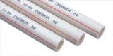 PPR Pipe 2.0mpa for Hot Water