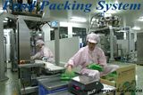 Automatic Food Packaging Machinery / Vffs Pouch Maker