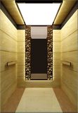 Passenger Elevator