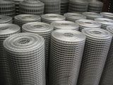 Welded Wire Mesh (BWG12-24)