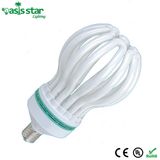 E40 250W Lotus Energy Saving Light