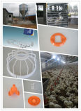 Poultry Equipment for Sale & Poultry Equipment for Broilers and Chickens