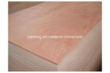 Melamine Glue Poplar Core Bintangor Plywood