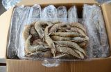 Vannamei Shrimps/White Shrimps/Vannamei Prawns