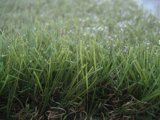 Artificial Turf (Indoor Green Grass)