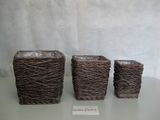 Willow Basket