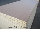 9mm Poplar Plywood