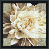 New Decorative PS Frame Spray Peony Flower Oil Painting