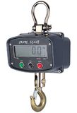 Electronic Crane Scale