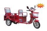 Electric Tricycle for Passenger and Loader Jbdcq100-03f