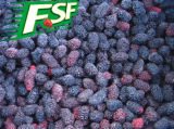 IQF Mulberries