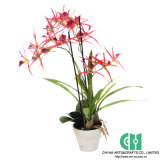 Artificial Flower, Artificial Tree, Artificial Plant (94-CH06405220)